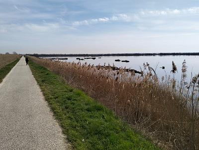 2)Greenway del Sile Treviso-Jesolo 08-03-2025